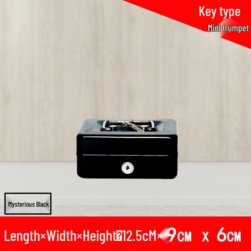 Portable Thickened Metal Cash Box with Lock and Password, Secure Storage Organizer