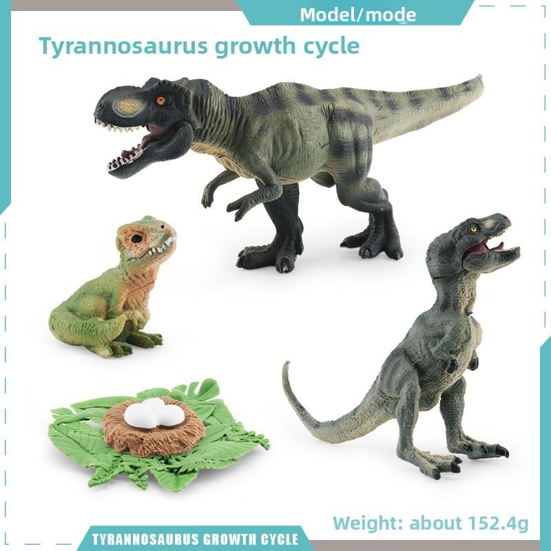 Pterosaur T Rex Growth Cycle Figures Pvc Models For Kid Science Educational Gift
