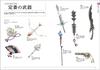 Fantasy Costume Design Picture Book (Super Drawing Series)