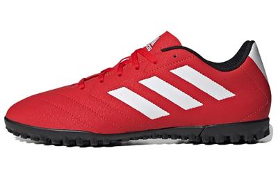 Goletto Vii Tf 'Rouge Blanc' FY3541