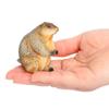 PVC Wild Animal Figurine Marmot Plastic Groundhog Ornament Realistic Animal Ornament  Office