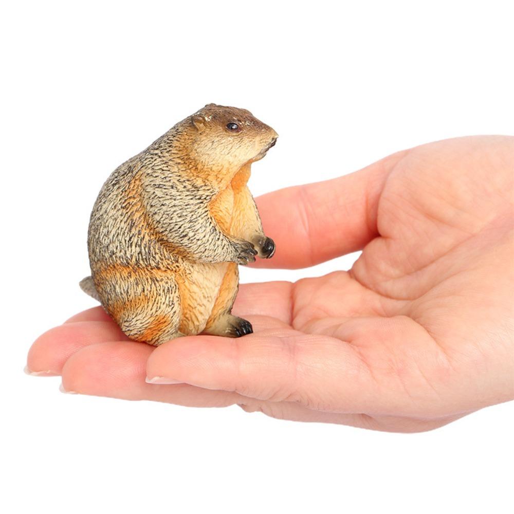 PVC Wild Animal Figurine Marmot Plastic Groundhog Ornament Realistic Animal Ornament  Office