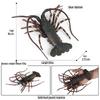 Children's Aquarium Shrimp & Lobster Simulation Set