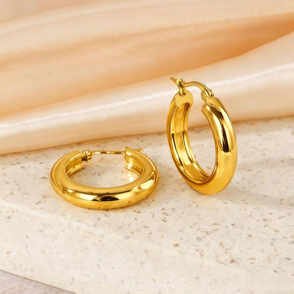 Titanium Steel Light Luxury Colorfast Hoop Earrings with High-End Feel