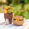 Voyyphixa Miniature Animal Set of and Rabbit Cute Decorative Micro Landscapes for Bonsai and Mini Scenery Collections 10, Hedgehog, Squirrel,