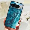 Gehärtetes Glas Handyhülle Für Google Pixel 9 Pro XL Hartes PC Funda Für Google Pixel 9a Pixel9 5G Niedliches Tier Glas Rückseite