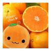 Plush Mascot Cute Fluffy Soft Cushion Toy Healing Present Figurine (Orange Orange)