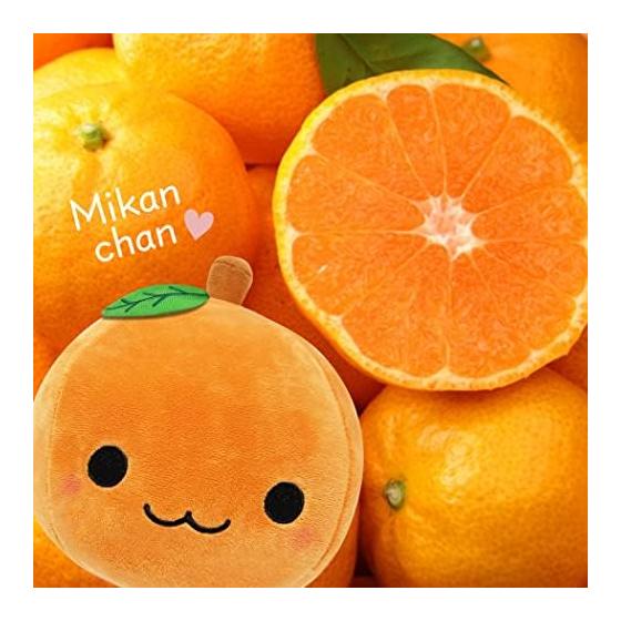 Plush Mascot Cute Fluffy Soft Cushion Toy Healing Present Figurine (Orange Orange)