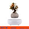 Creative Magnetic Levitation Self-Rotating Bonsai Flower Pot Ornament