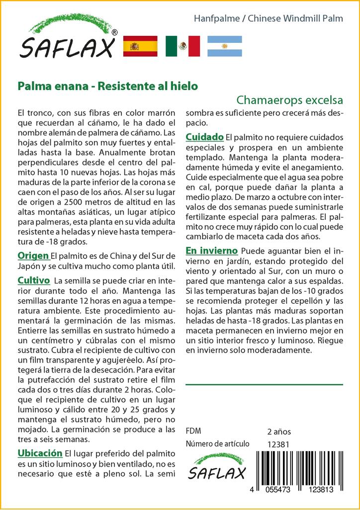 SAFLAX Palma cinese del mulino a vento - 10 semi - Con substrato da vaso per una migliore coltivazione - Chamaerops excelsa