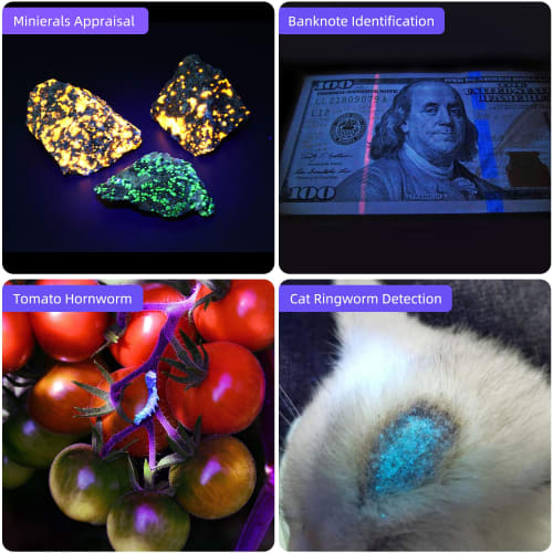 DARKBEAM UV Flashlight, 365nm Blacklight, Mini & Powerful Wood's Lamp, USB-C LED Rechargeable Blacklight Flashlight, Pocket Pet Dog Urine Detector - F