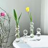 Spherical Spanish Bubble Glass Flower Vase - Transparent, Simple, Decorative Ornament for Home