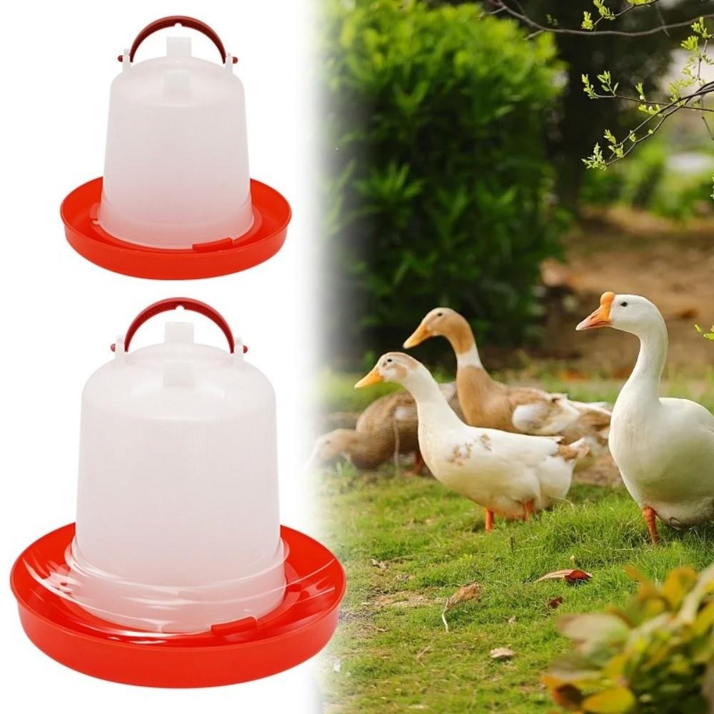 1.5L 8L 15L Poultry Drinker Feeder Plastic Water Container Durable Bird Chick Waterer Chicken Coop