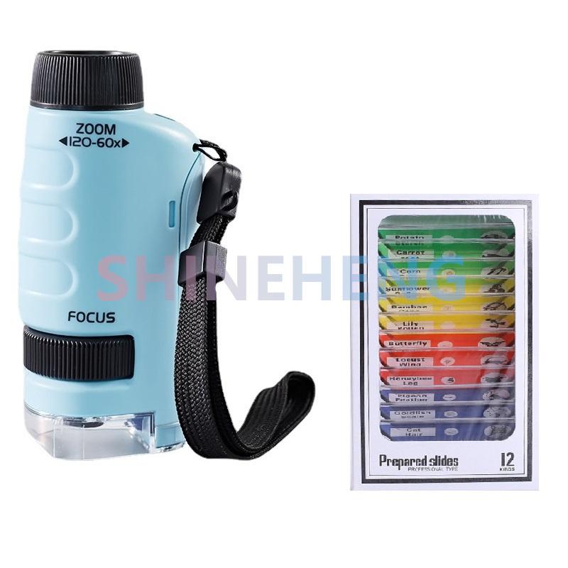 Taschenmikroskop, Wissenschaftsspielzeug für Kinder, 60-120-faches pädagogisches Mini-Handmikroskop mit LED-Licht, Outdoor-Kinder-Stammspielzeug