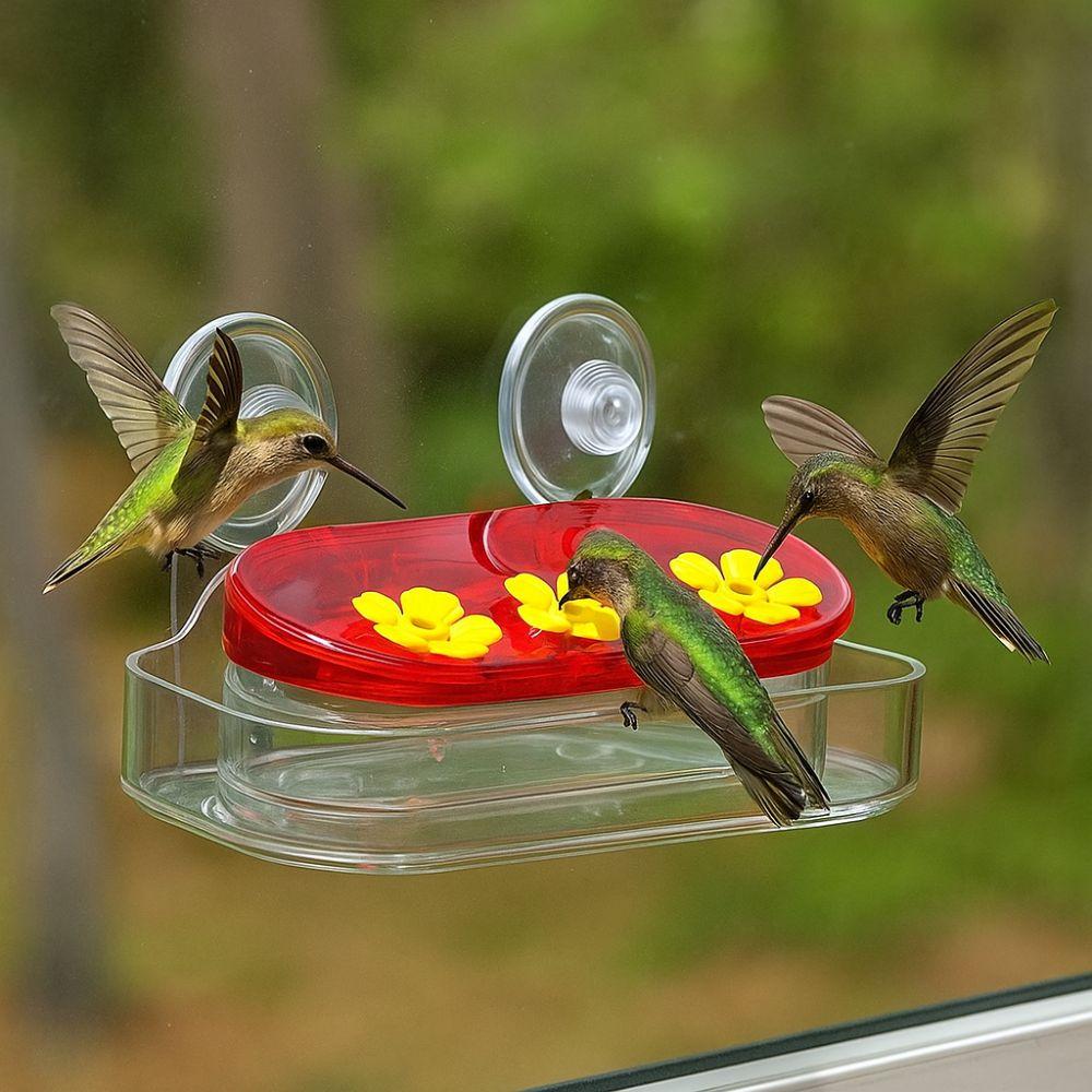 Suction Cups Bird Water Drinker Refillable Window Hanging Feeder Stable Bird Water Station  Balcony