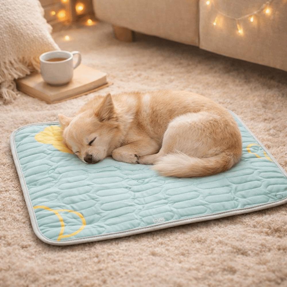 Washable Cooling Dog Mat Cool Feeling Cat Sleeping Cushion Cartoon Pattern Pet Nest Mat  Car Travel
