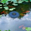 Solar Floating Pond Aerator Solar Powered Air Pump with Air Hose and Bubble Stone Bubble Oxygenator for Garden Pond