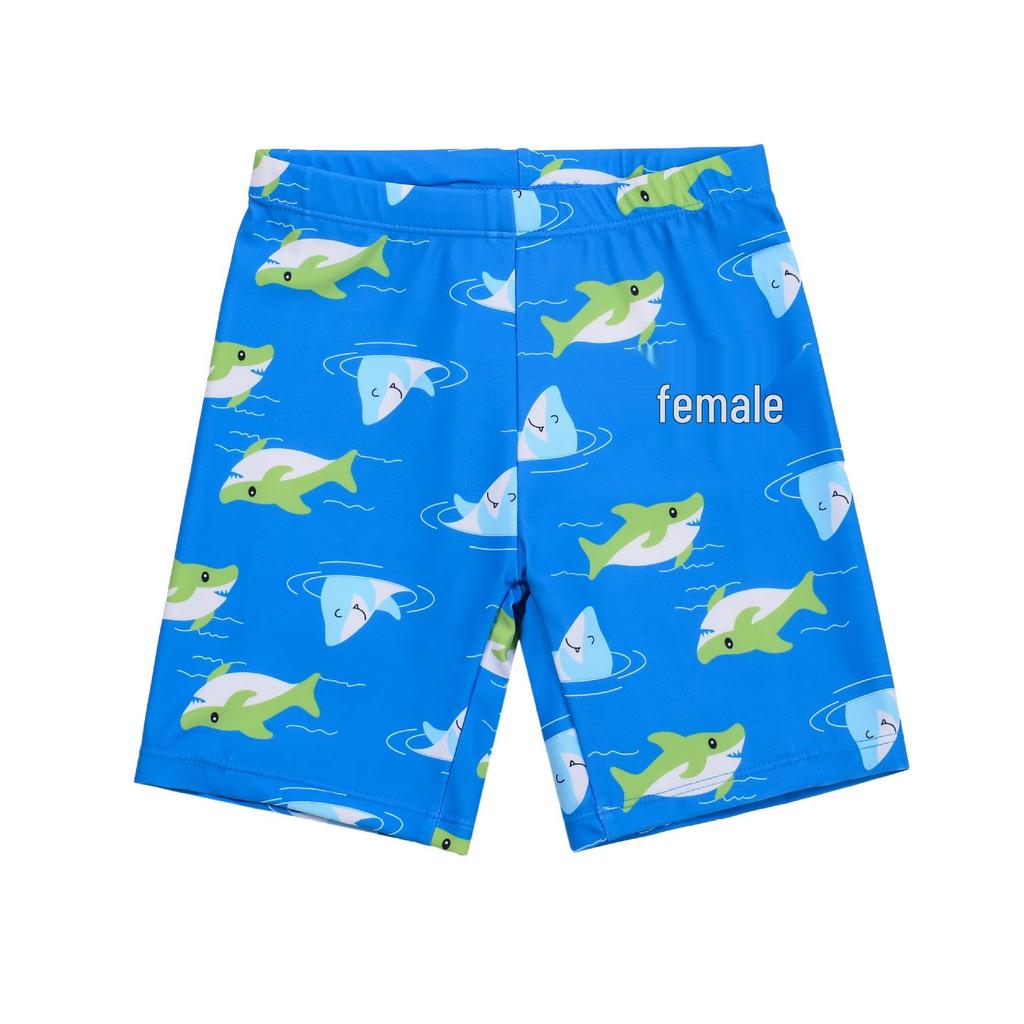 Children's Long Sleeve Sun Protection Surf Suit & Quick-Dry Swim Pants Set