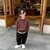 Boys' Trendy Korean-Style Polo Knitwear for Toddlers and Children - Spring & Autumn Thin Lapel Sweater