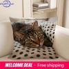 1Pc Cute Cat Themed 2D Flat Printed Pillowcases Sofa Cushion Cover Home Bedroom Room Decoration