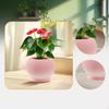 Ceramic Plant Pot ,Flower Outdoor Indoor, Round with Drainage Hole and Saucer Planter for Garden