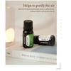 1PC Aromatherapy Essential Oil, Long-lasting Indoor Fragrance, Fresh Air, Water-soluble Aromatherapy Plant Essential Oil