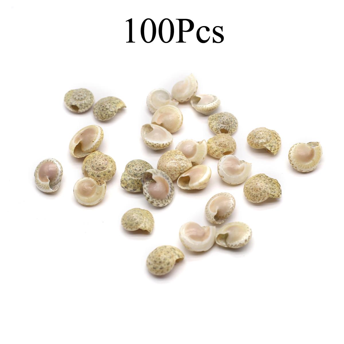 

Декоративное украшение из ракушек в стиле бохо, мини-уникальная натуральная ракушка для домашнего декора для аквариума, горшечных растений или ювелирных изделий 100Pcs/10×9mm