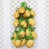 Realistic Fake Vegetables Potato String Hanging Decoration Prop for Kindergarten