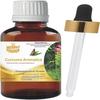 Levenmooi Curcuma Aromatica (Curcuma Aromatica) Pure & Natural Therapeutic Grade Essential Oil Glass