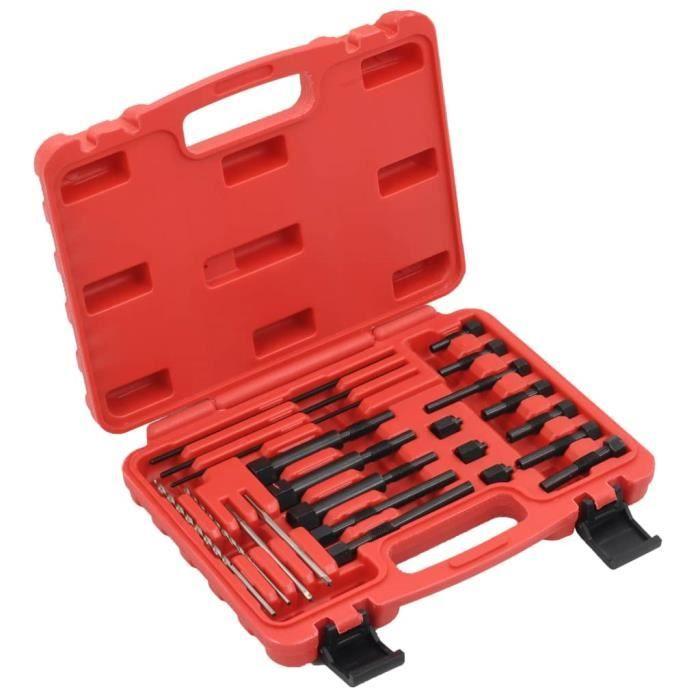 VidaXL Jeu de bougies de préchauffage 22 pcs 8 et 10 mm
