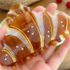 Coffee French  Crab Clip Korean Style Acetic Acid Shark Clip  Hair Accessories
