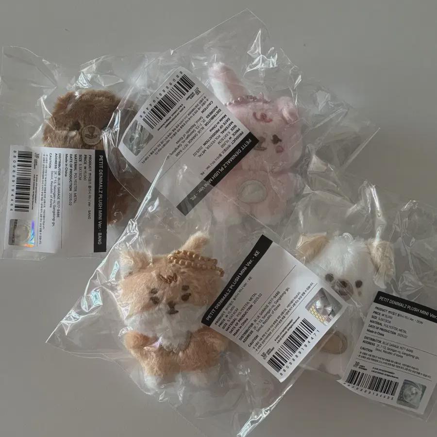 

День6 Довольно Мал Банкепильдон Партия