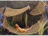 Lizard and Bird Climbing Hammock Mat - Pet Toy & Grass Net