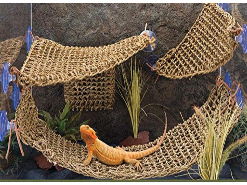 Lizard and Bird Climbing Hammock Mat - Pet Toy & Grass Net