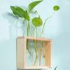 Creative Hydroponic Wood Frame Wall Mounted Tabletop Bonsai New Hydroponic Plants Container