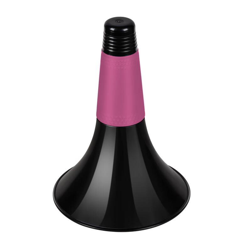 Basketball Training Cone