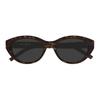 Saint Laurent Original Design Oval Sunglasses Women Sunglasses Brown SLM148