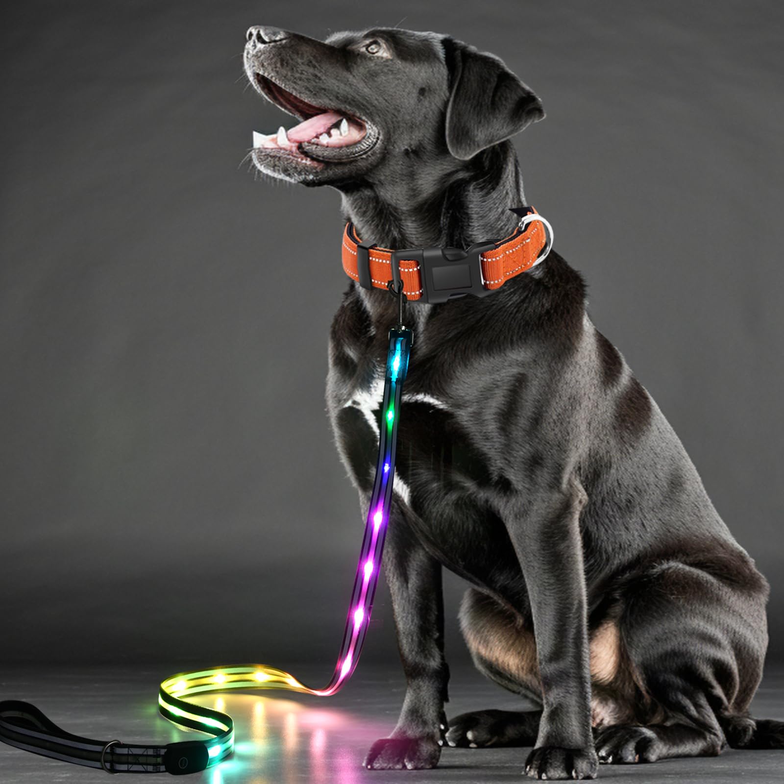 

Освещение Nayouko Светящаяся собака 7 цветов Радужная собака для прогулок Маленькая и средняя USB Ночь Собака Товары для питомцев Ширина [10 режимов] Поводок, Светящийся, Переключаемый, белый