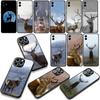 Deer Hunting Phone Cover Case for Apple iPhone 16 15 14 Plus 13 12 Mini 17 Pro Max + 16E Air 16+ ProMax Casing