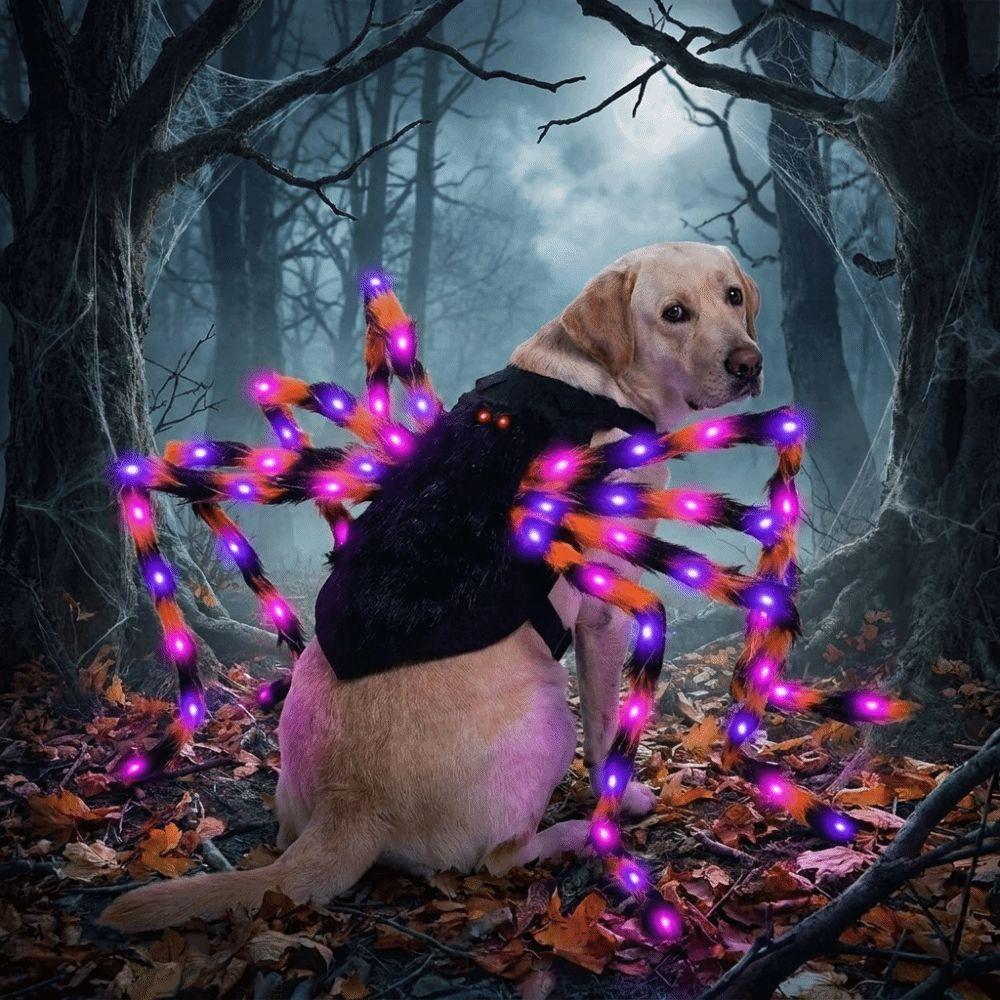 LED Purple Lights Halloween Pet Spider Costume Furry Pet Cosplay Costume Halloween Party