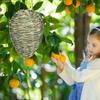 Fake Hornet Nest Hornet Nest Decoy Woven Bee Hive Hangable Decoration Hanging Patio Garden Repellent Trap Non-Toxic Fake Nest