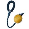 Longjian Large Reflective EVA Dog Toy Ball with Rope