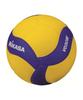 MIKASA (MIKASA) Graduation Gift, Signed Volleyball/Mascot Ball with Display Stand, V030W