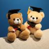 Graduation Gift Bear for Students: Doctoral, Master's, University, Kindergarten