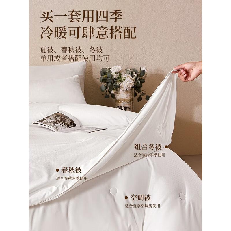 All-Season Two-in-One Mulberry Silk Blend Quilt