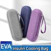 EVA Glaciated Cold Storage Bag Waterproof Drug Freezer Bag Multipurpose Storage Bag  for Home