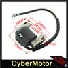 Ignition Coil For Briggs & Stratton 161430 161432 161436 161437 111902 111982 286702 286707 28B702 28B707 28C707 28D707 31G777