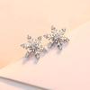 Korean Style S925 Sterling Silver Zircon Snowflake Stud Earrings for Women - High-End, Niche Fashion Design