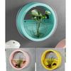 Wall Mounted Plant Hanging Container Easy No Tool Setups Ideal For Green Decoration Vertical Gardening In Compact Area
