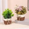 Tabletop Artificial Flower Decorations Simulation Potted Plant Ornaments